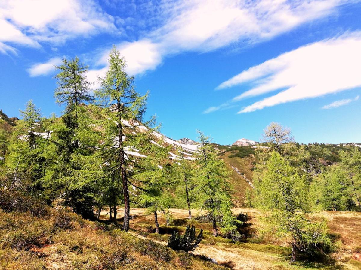 Chalet - Apartment - Mit Liebe Dekoriert Oblarn 外观 照片