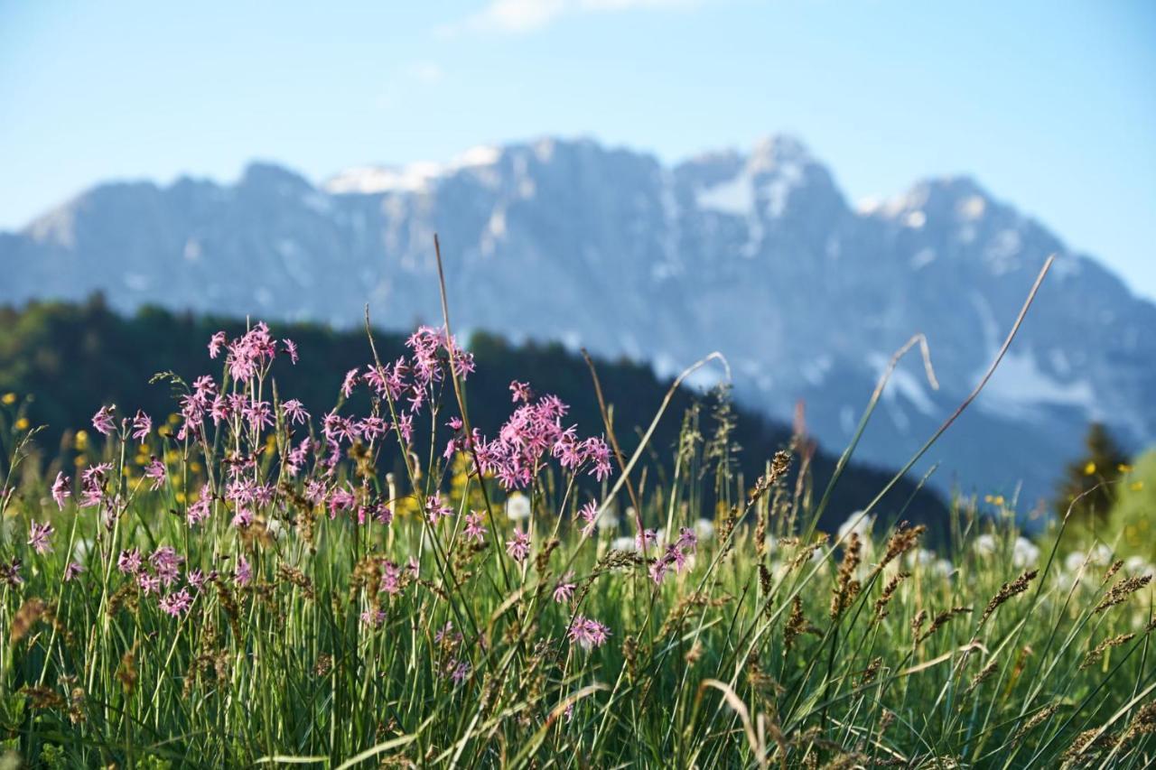 Chalet - Apartment - Mit Liebe Dekoriert Oblarn 外观 照片